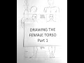 Drawing The Female Torso Part 1