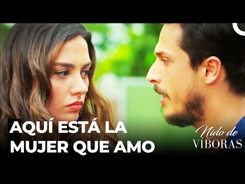 El Encuentro De Nagme Y La Gente De La Mansión - Nido De Víboras