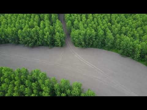 Archive 38 Video thumbnail