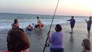 preview picture of video 'Man reels in a 100 inch shark at Emerald Isle!'