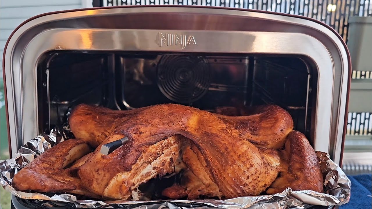 Ninja Woodfire Oven Quick start guide | smoke, air fry, broil, bake