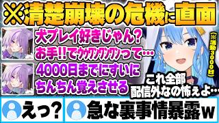 活動3000日目にしておかゆとの犬プレイを介してブランディング崩壊の危機に直面する星街すいせいｗ【猫又おかゆ 星街すいせい ホロライブ 切り抜き Vtuber】