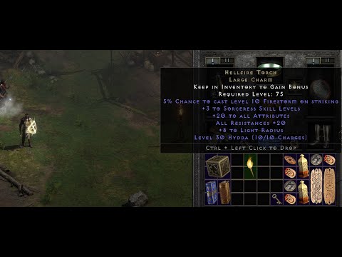 one of the world first 20 20 Sorc torches in D2R