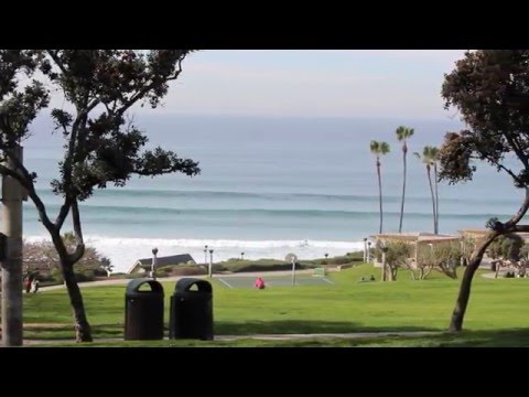 Solid waves at Salt Creek