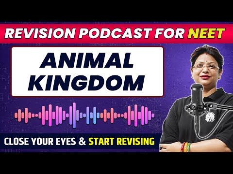 ANIMAL KINGDOM in 42 Minutes | Quick Revision PODCAST | NEET