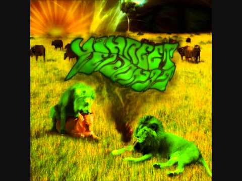 Vihreet Leijonat - Leijonat on kehissä