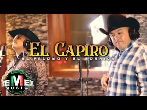 El Palomo y El Gorrión - El Capiro (Video Oficial)