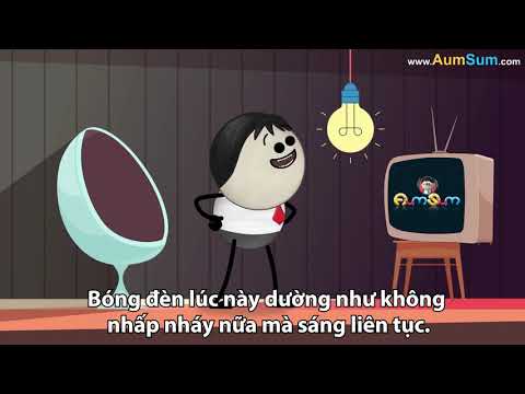 Chó nhìn thấy gì trên tivi