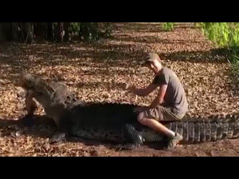 Tourist Hops on Back of Deadly Saltwater Crocodile in Australia