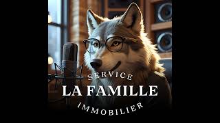 Ne fait pas comme Irène - MÉGA conseil immobilier
