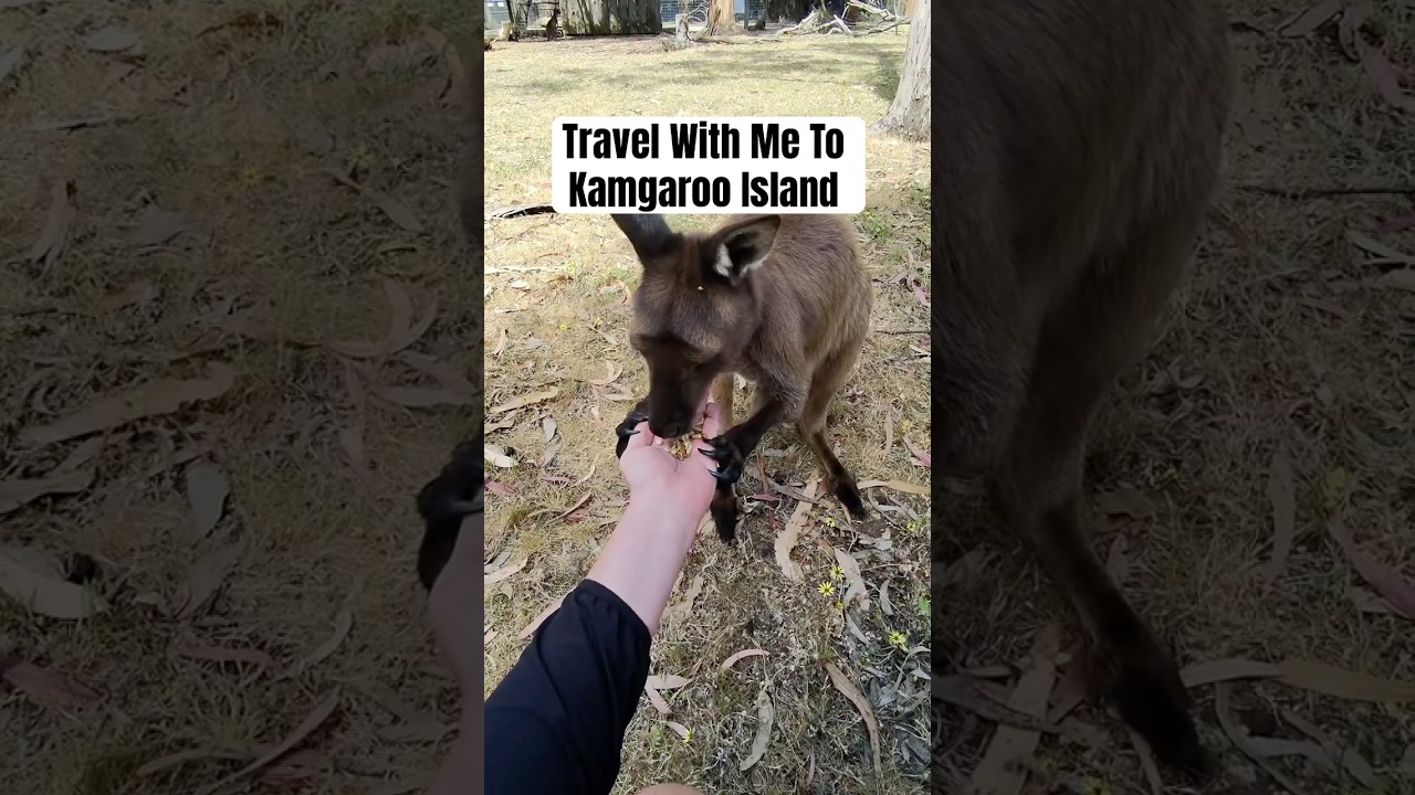 YouTube Short thumbnail