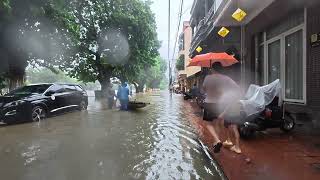 FLOOD IN HUE: THIS MORNING, THE WATER RISES UNEXPECTEDLY FAST | Lequang Channel