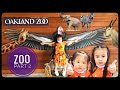 Oakland Zoo Part 2 #oaklandzoo