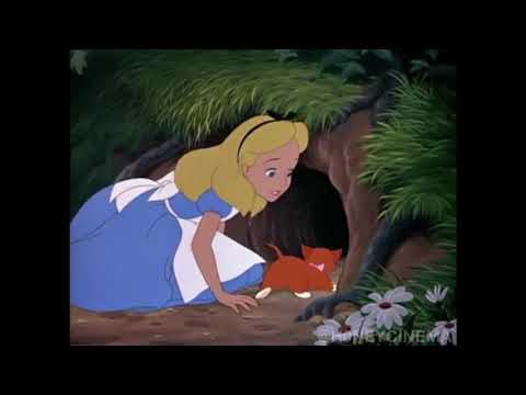 ohiorabbit - whitehome ft. acacy