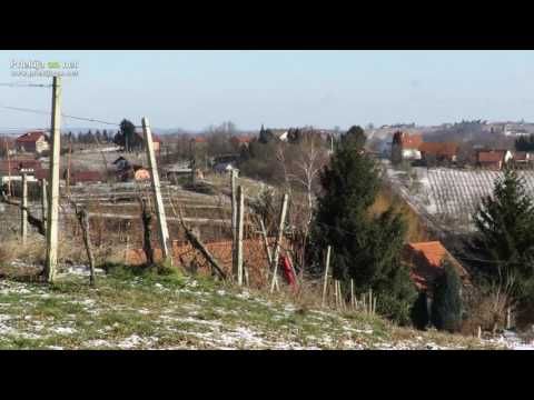 NMP Ljutomer na poti v Lahonce