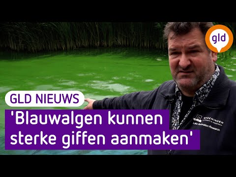 GLD Nieuws 29 augustus 2022