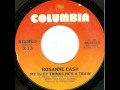 Rosanne Cash ~ My Baby Thinks He's A Train