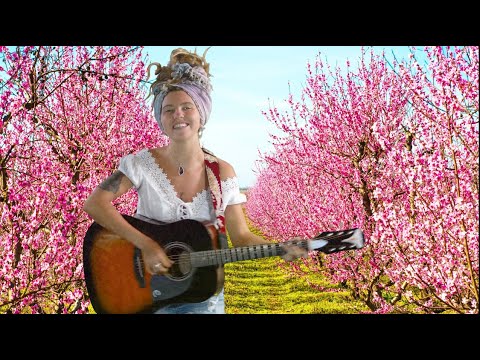 California - Shanin Blake