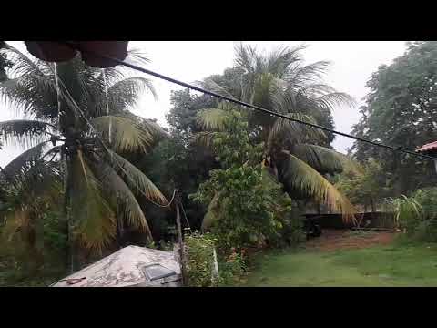 Chuva Milagres Ceará 21/01/2026