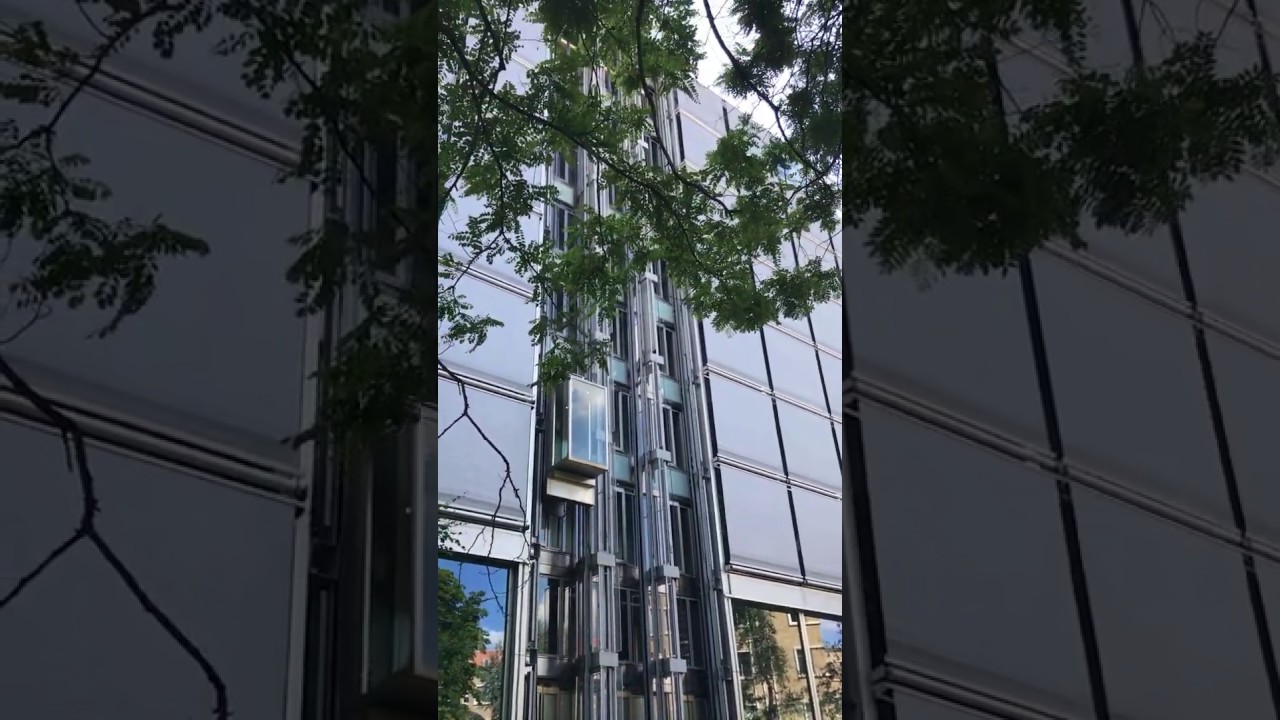 YouTube Short thumbnail