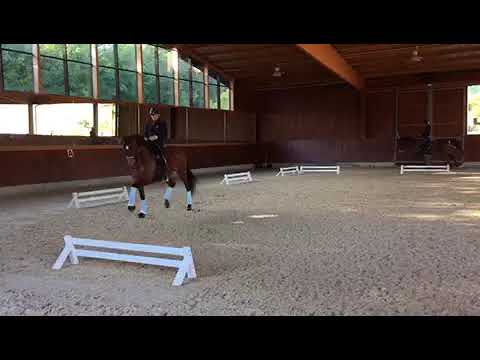 Rafael Soto Avalancha Dos Lunas training