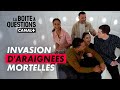 Araignée Du Matin Vermines Du Soir