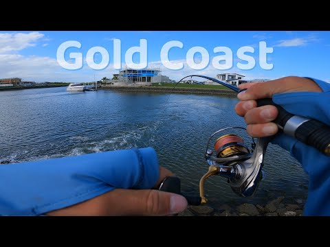 I Found A Secret Gold Coast Drain LOADED With Fish!