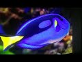 Finding Nemo Remake Part 19 Dory Speaks Whale