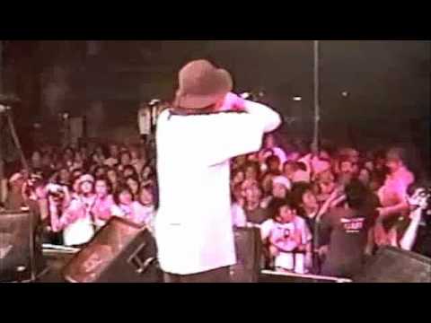 SNIF /  Back Track Life