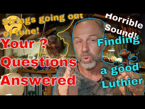 Your Questions for Olaf the Violinmaker 2 0