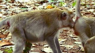 OMG! What Monkey Jane Doing Behind Angel, Angel So Scary Of Jane