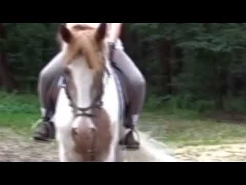 rest in peace fluffy-Kenn Colt x Nari  Milani - Come Back To Me