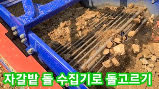 자갈밭 돌수집기로 돌고르기 8바퀴씩 돌고 뒷목 부러질뻔 이번에 고구마 서리태 심을밭 입니다