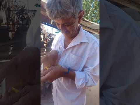 Manuel Cejas de el Quebrachal Anta Salta 