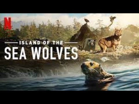Island of the Sea Wolves - Official Trailer - Netflix