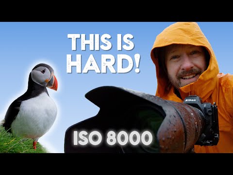 I FINALLY completed a 20 YEAR photography goal (at ISO 8000!)