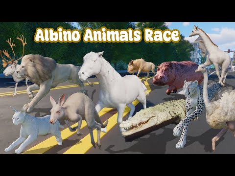 10 Albino Carnivores VS 10 Albino Herbivore Animals Race in a New City Planet Zoo included Giraffe