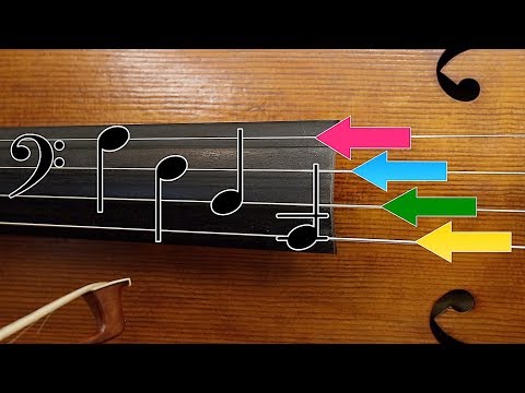 How to READ MUSIC on CELLO - A Beginners Cello Lesson | Basics of Cello