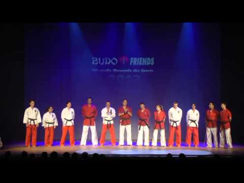 Budo meets Friends 2013 - 02 Laser- und Introshow