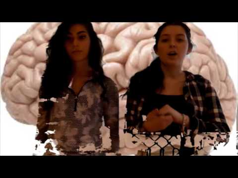 Magic School Bus Nervous System