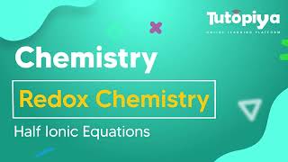 Half Ionic Equations