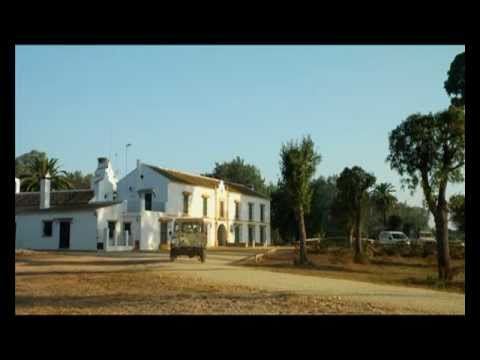 "El Tartessos de Schulten" avance documental