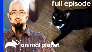 Feral Foster Cat Adjusts To Domestic Life | My Cat From Hell (Full Episode)