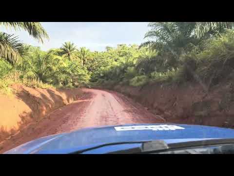 03 -Dendê Nut4x4 nas Intoca 2ª Edição | Taperoá-BA 🌴🚜