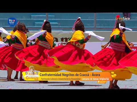 Confraternidad Negritos de Ccaccá   Ácora | VIRGEN DE LA CANDELARIA PUNO