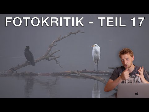 Was könntest DU an deinen Fotos verbessern? Bildkritik 17