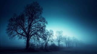 Klaus Schulze -The Rhodes Violin