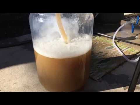 Brewing a New England Pale Ale
