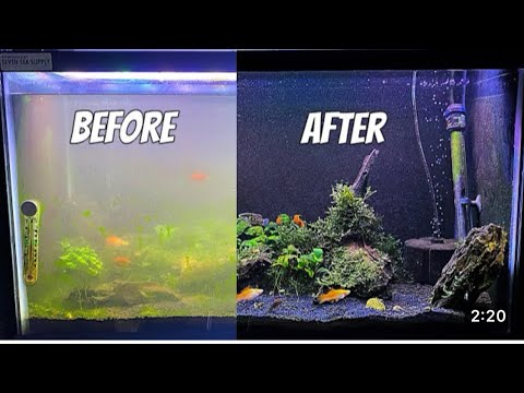 Cleaning a dirty aquarium - Fish tank