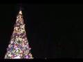 Epcot Christmas Tree And Gateway Lights 2007
